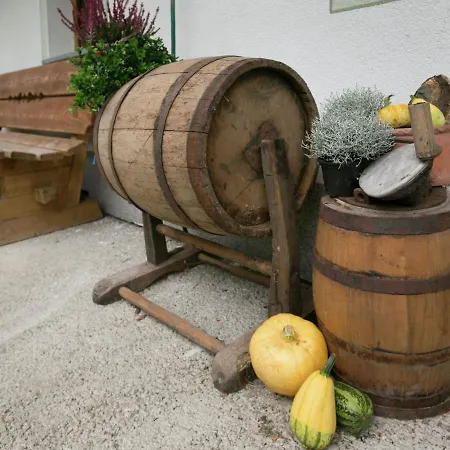 Baderhof Apartment