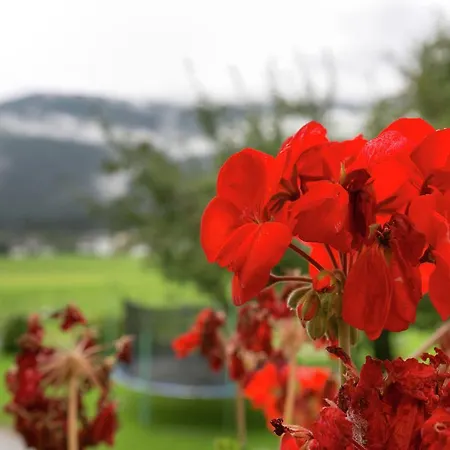 Baderhof Apartment Aschau Im Zillertal